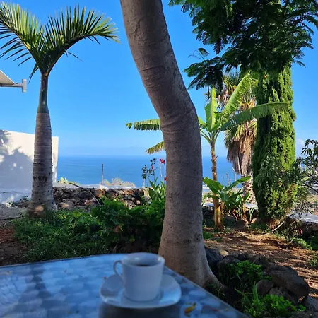 Semesterbostad Drago Tacoronte